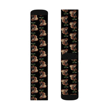 Load image into Gallery viewer, Zippy the Squirrel Socks
